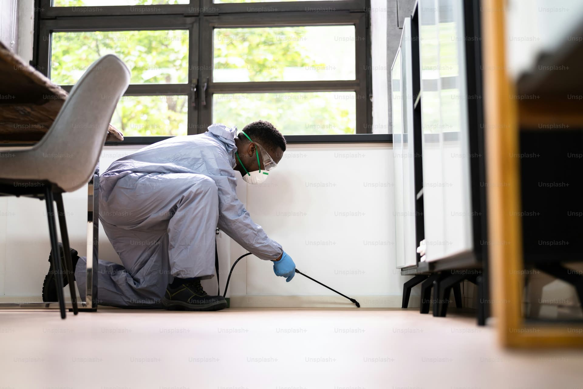 Wie Kammerjäger in der Nähe Ihr Zuhause schädlingsfrei machen